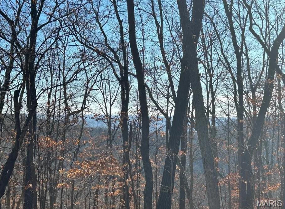 406 Big River View